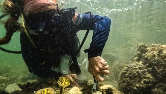 Ocean heat record broken