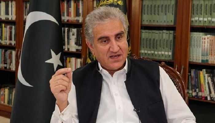 Pakistani opposition party leader Shah Mehmood Qureshi detained