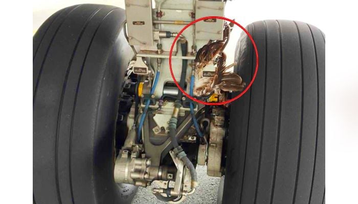 2 aircraft suffer bird strikes at Dhaka airport