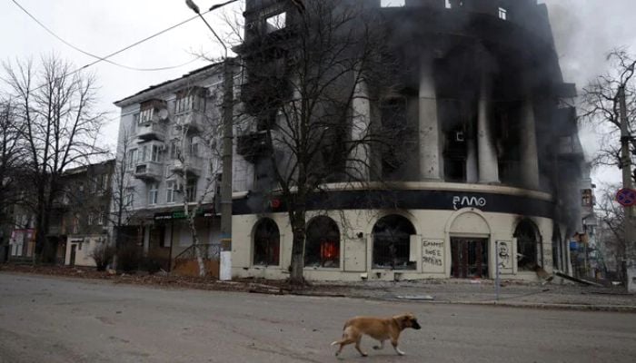 Newborn, her family among 7 killed by Russian shelling in Ukraine