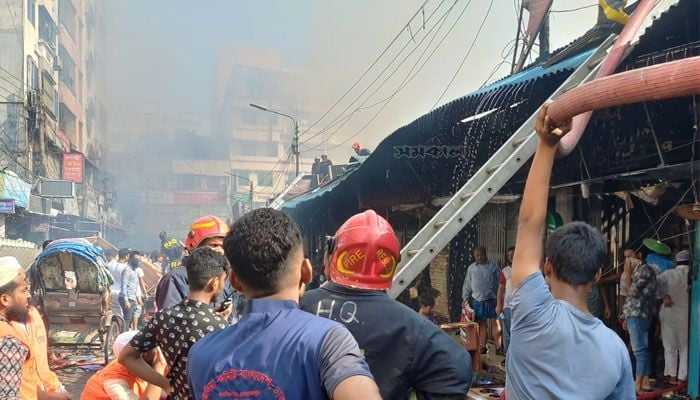 Fire at Dhaka's Krishi Market under control