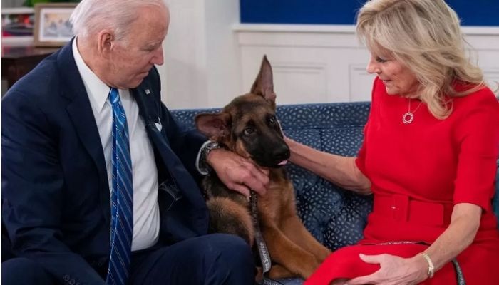 Biden dog Commander bites Secret agent