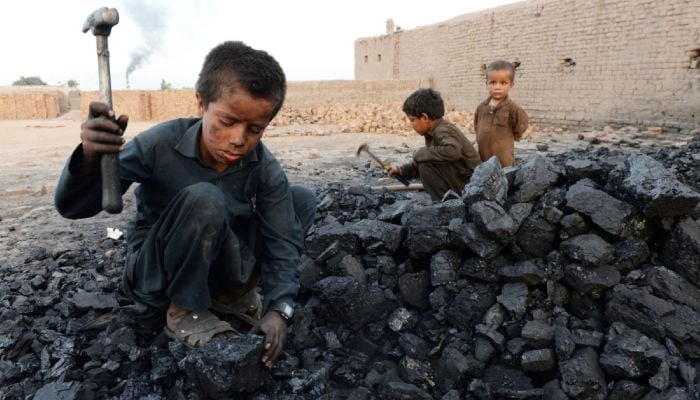 Child labour at 'critical moment' as more pushed into work: ILO