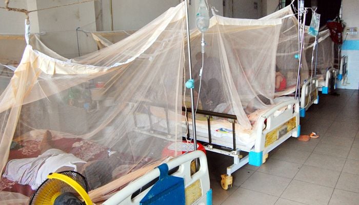 16 more dengue deaths in a day