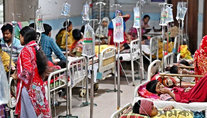 11 more die from dengue 