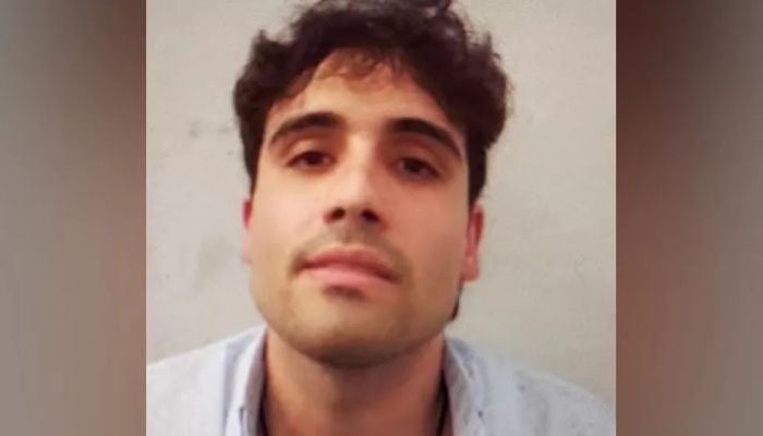 Drug lord El Chapo's son extradited to the US