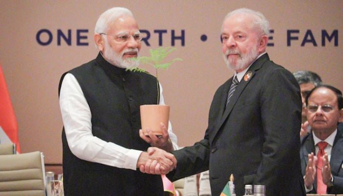 Modi closes G20, hands over 'One Earth, One Family' baton to Brazil