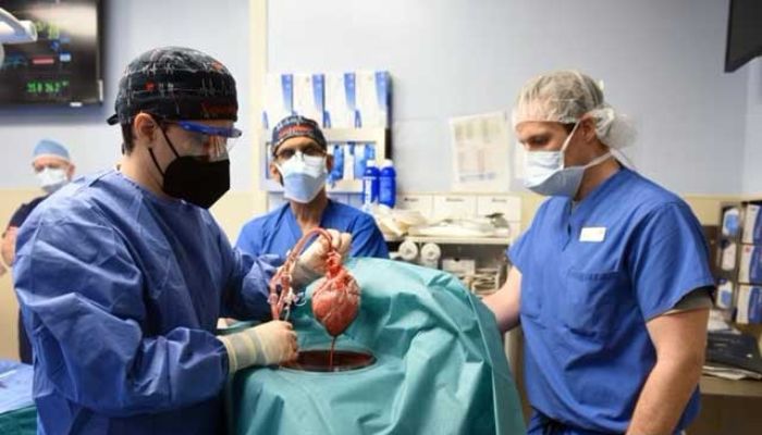US experts carry out second pig-to-human heart transplant