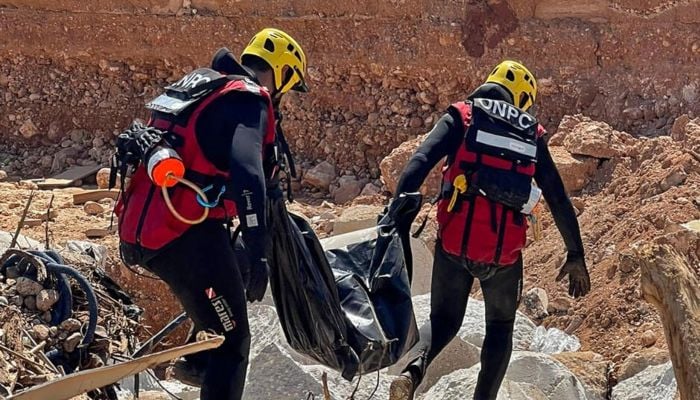 Libya death toll estimated at 11,300