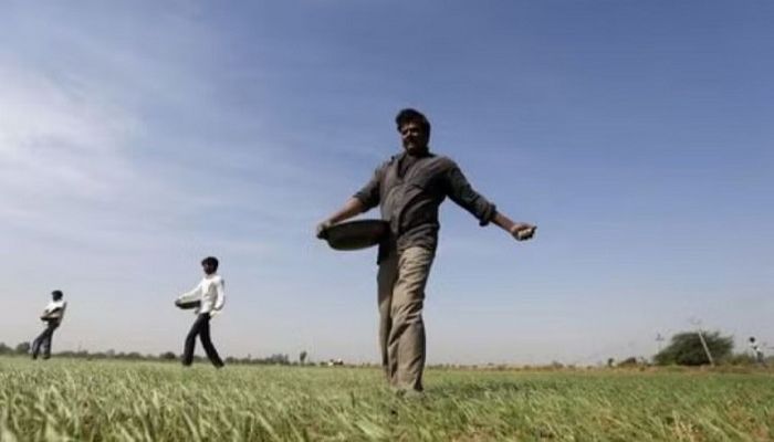 Exclusive: Russian sellers stop fertiliser discounts to India