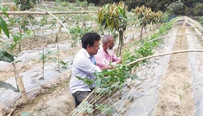 Technology becomes boon for farmers