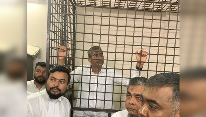 BNP leader Annie remanded for 4 days