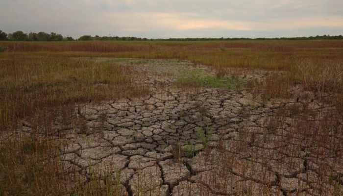 Disasters cause $3.8tn in crop loses over 30 years: FAO