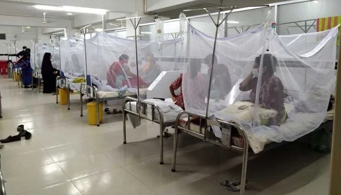 Dengue death toll crosses 1,000-mark