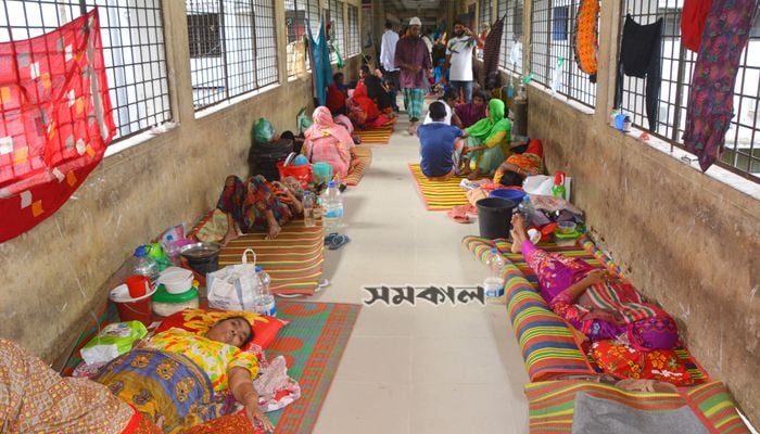 Dengue fever claims 12 more lives