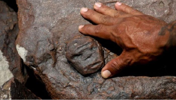 Drought in Brazil's Amazon reveals ancient engravings