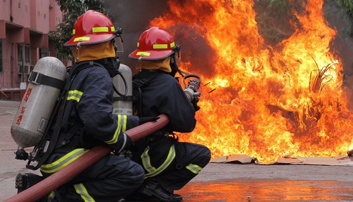 4 killed in 1,577 fires in Sept: FSCD