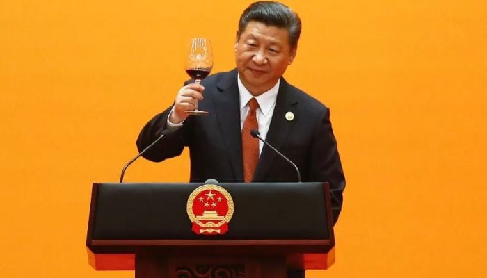 China's Belt and Road in five projects