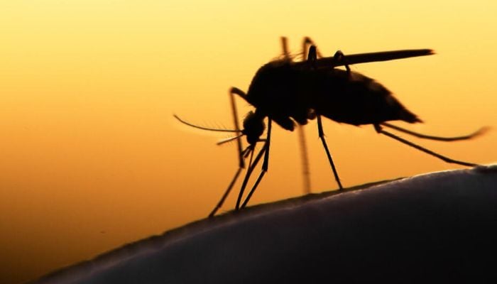 Malaria vaccine big advance against major child killer