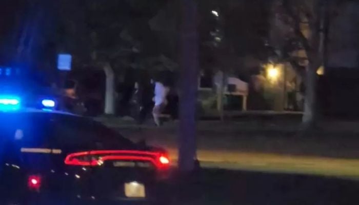 22 killed, dozens wounded in US shootings
