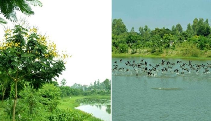 Re-excavated Bharardaho Beel regains heavenly look with chirping birds