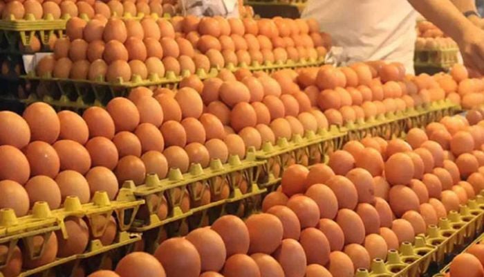 62 thousand eggs arrive from India