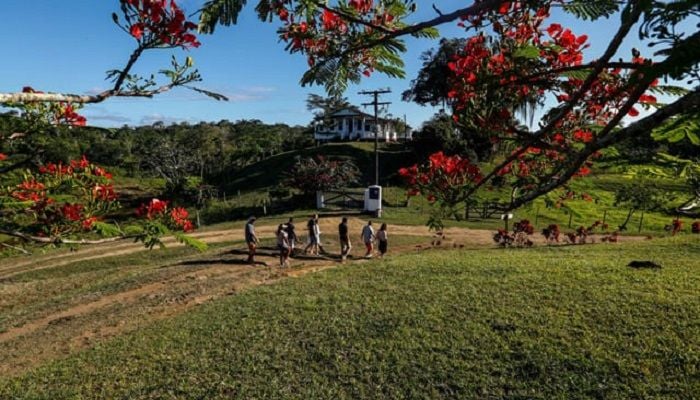 Brazil to unveil plan to increase farmland by 60%