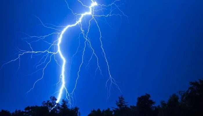 Lightning fires threaten planet-cooling forests