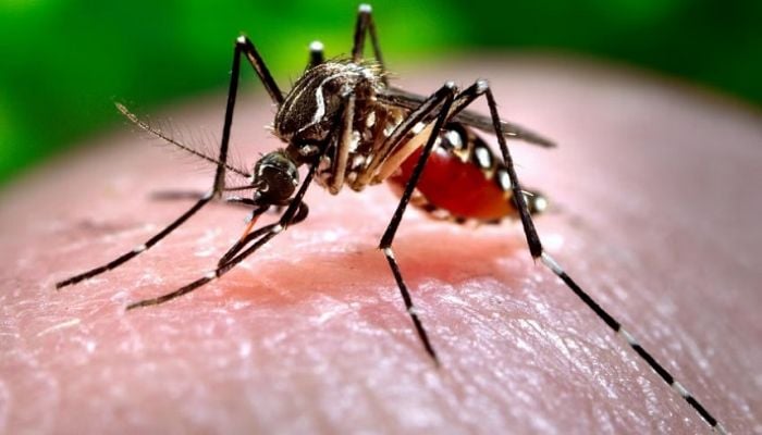 US approves first vaccine against chikungunya virus