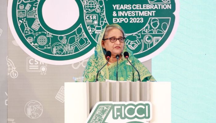 PM seeks larger foreign investment in Bangladesh