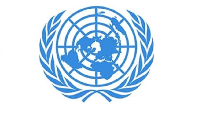 UN adopts Bangladesh's resolution on Natural Plant Fibres