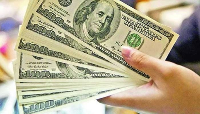 Remittance inflow increases by 21pc in November 