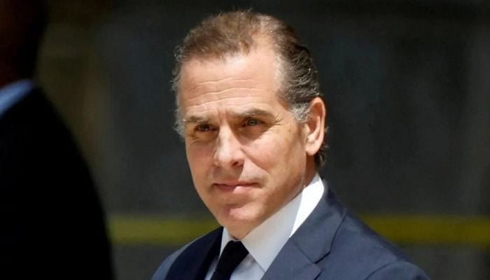Second criminal case filed against Biden's son