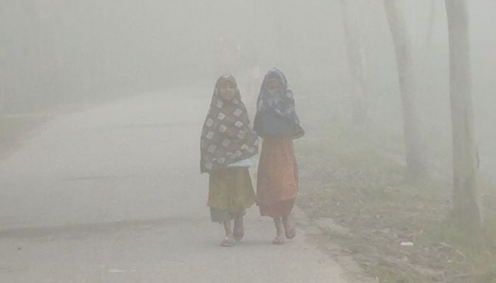 Cold, fog hit people in Lalmonirhat, Kurigram