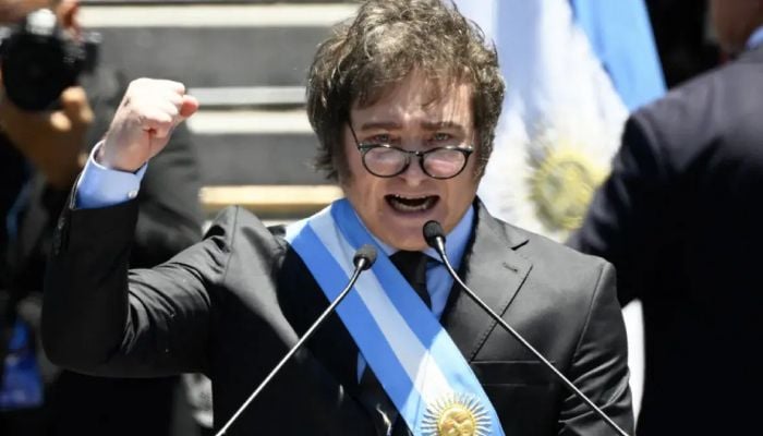 New Argentine president warns of economy 'shock treatment'