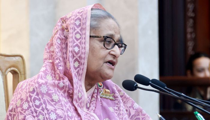 Govt wants to establish int'l standard education system