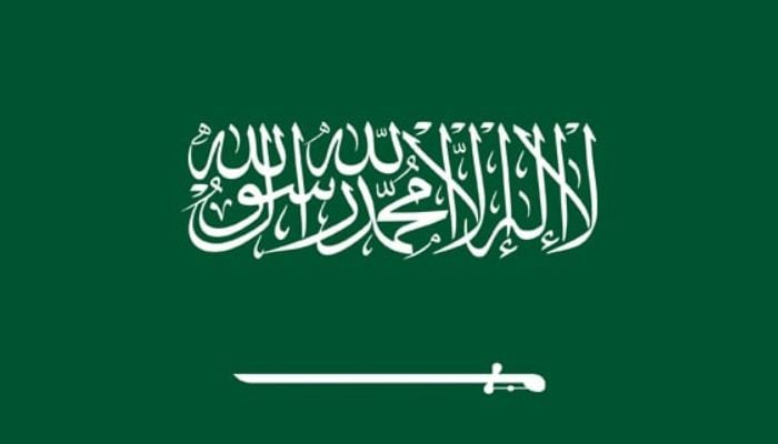 Saudi Arabia sends $3m for expatriate workers