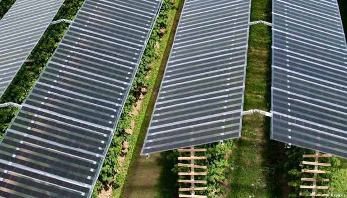 Solar energy use in agriculture rising gradually: Nasrul 