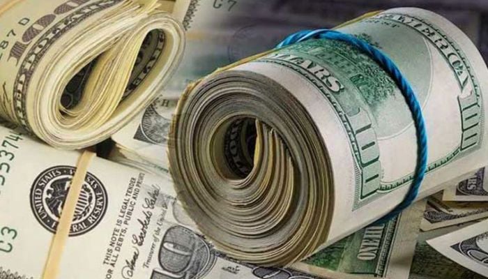 $1.31b to add to forex reserves in Dec: BB
