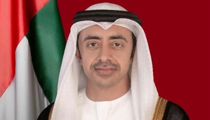UAE FM greets Hasan Mahmud, reiterates strengthening ties