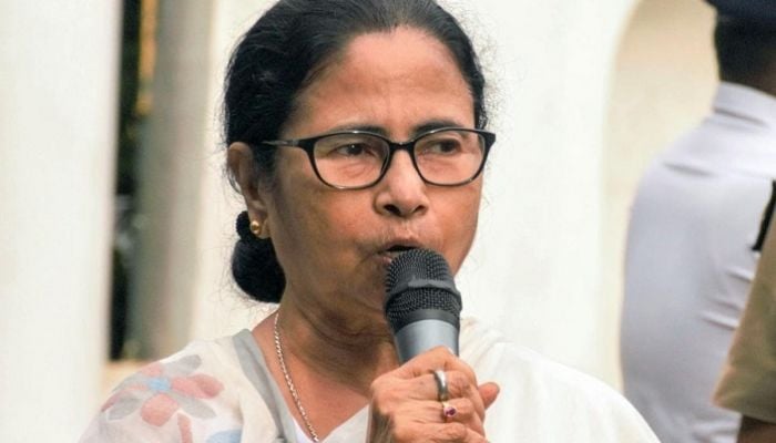 Mamata Banerjee injured in car accident 