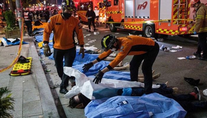 Seoul police chief charged over deadly Halloween crush