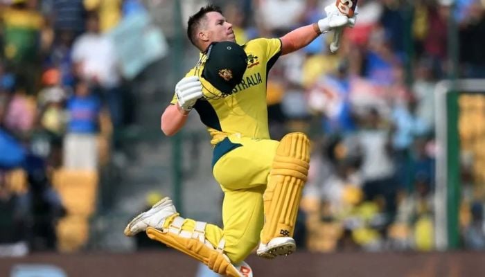 Australia veteran David Warner retires from ODI cricket