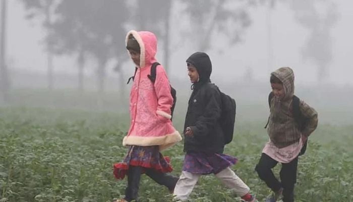 All schools in Khulna closed