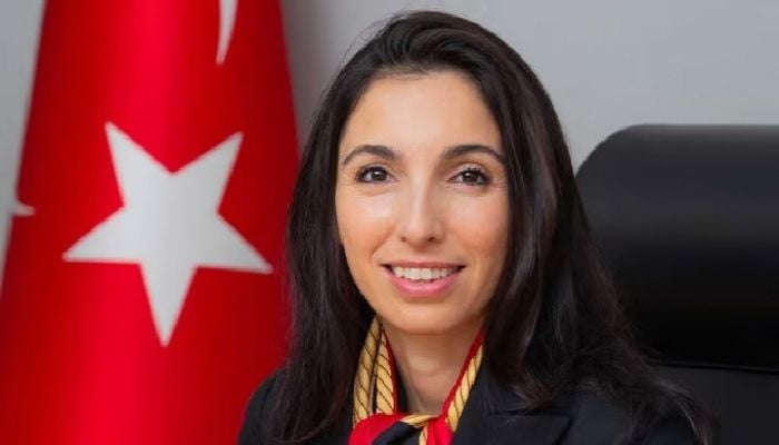 Turkey central bank chief quits