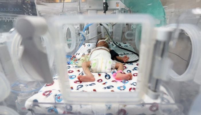 10% premature births linked to plastic chemicals: Study
