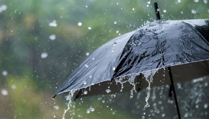 Rain, thundershowers likely in 4 divisions