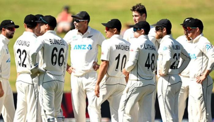 New Zealand dismiss South Africa for 242 in second Test
