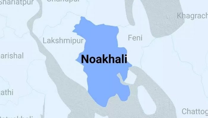 Two siblings drown in Noakhali pond