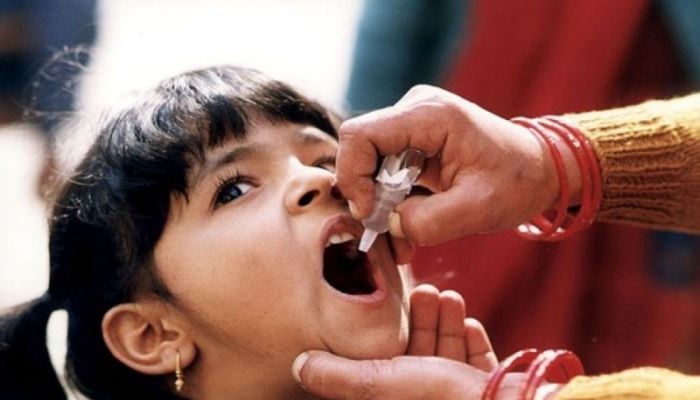 WHO approves simpler cholera vaccine